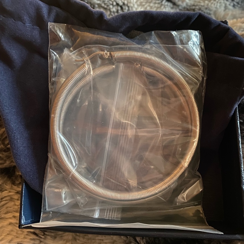 QVC Silver Coiled Hoop Earrings - Polished Finish